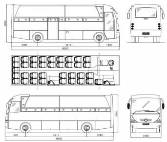 Lery bus open top