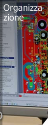 Organizzazione
