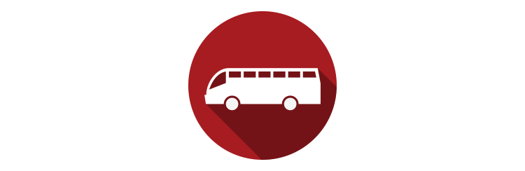 bus turistici